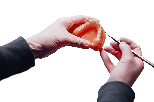 Prótesis Dental